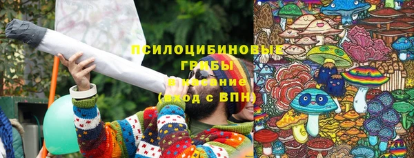 дурь Пролетарск
