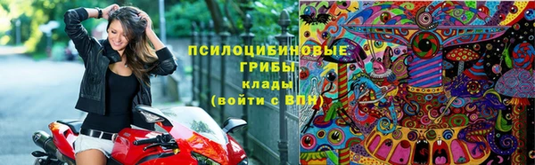 a pvp Аркадак