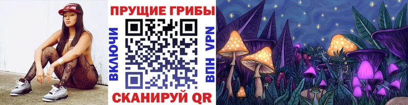 Псилоцибиновые грибы GOLDEN TEACHER  Сурск 
